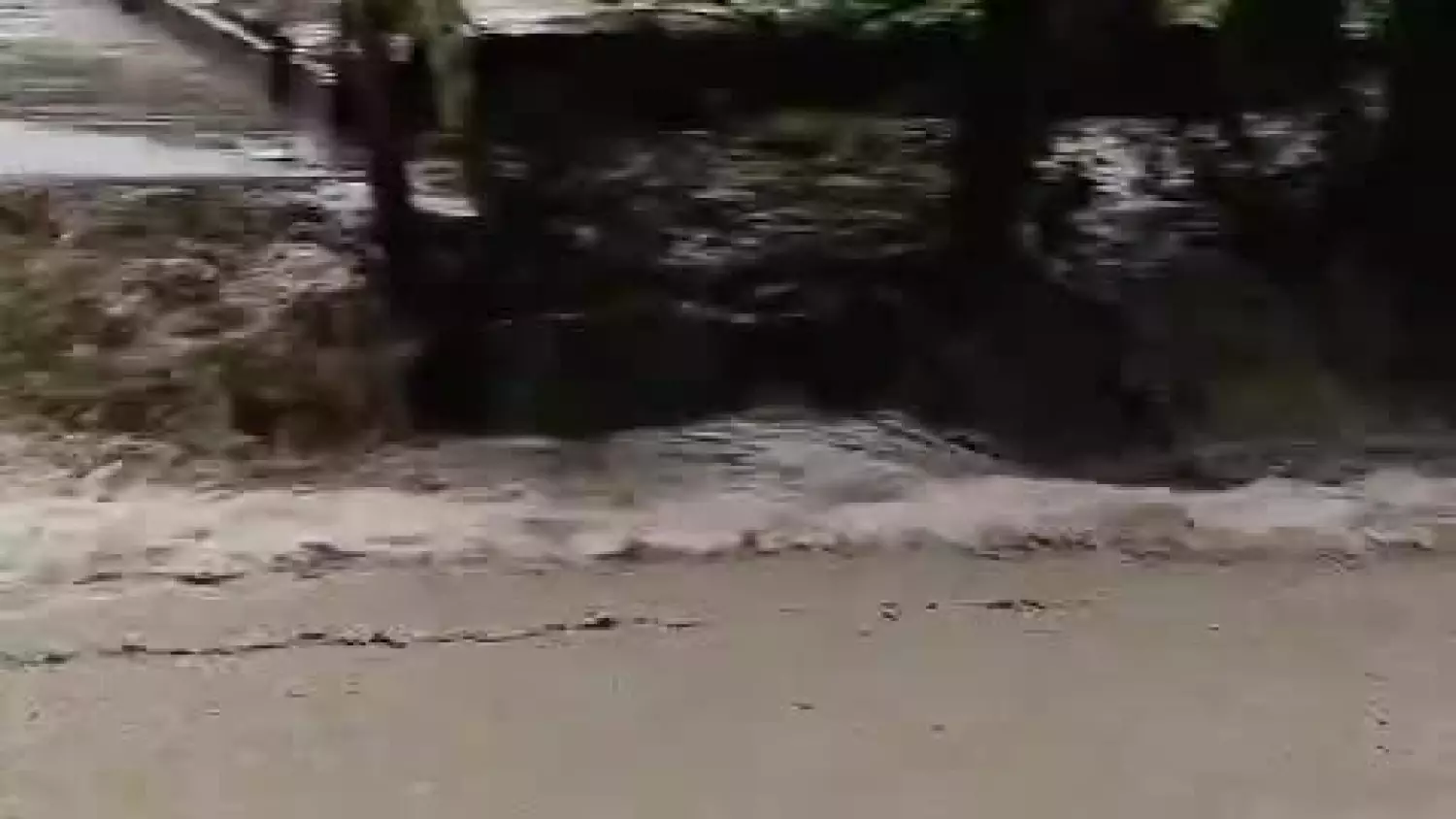 whatsapp-video-2024-06-04-at-155240.mp4