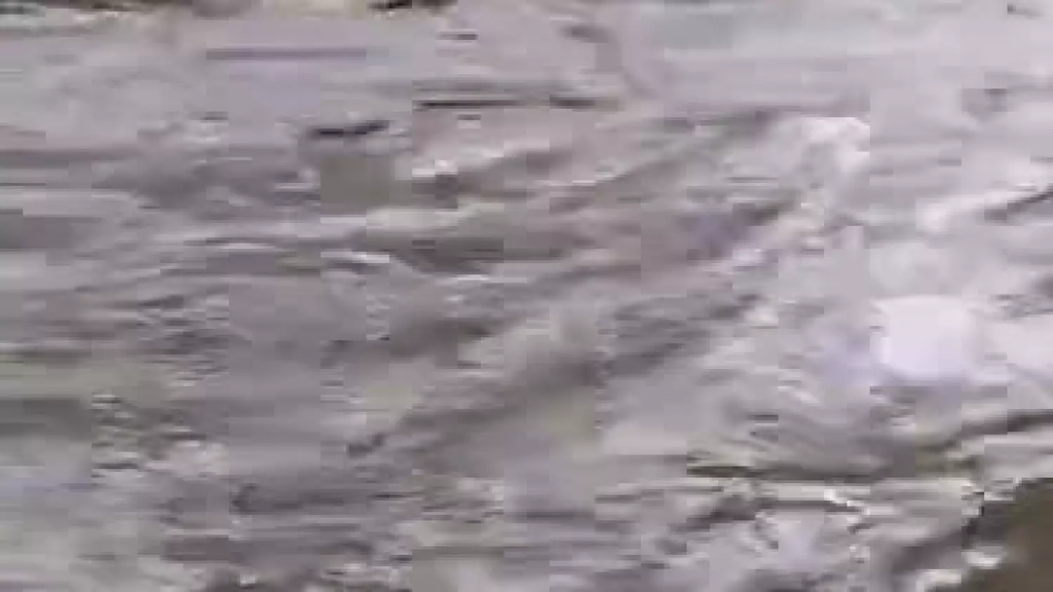 whatsapp-video-2024-06-04-at-160643.mp4