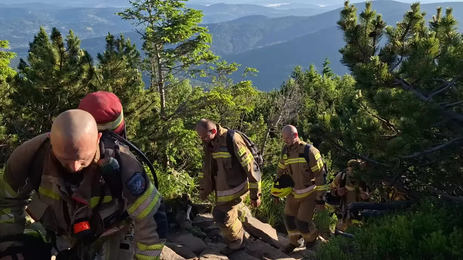 998 strażaków, w tym z Podkarpacia, zdobyło dziś Babią Górę [WIDEO]