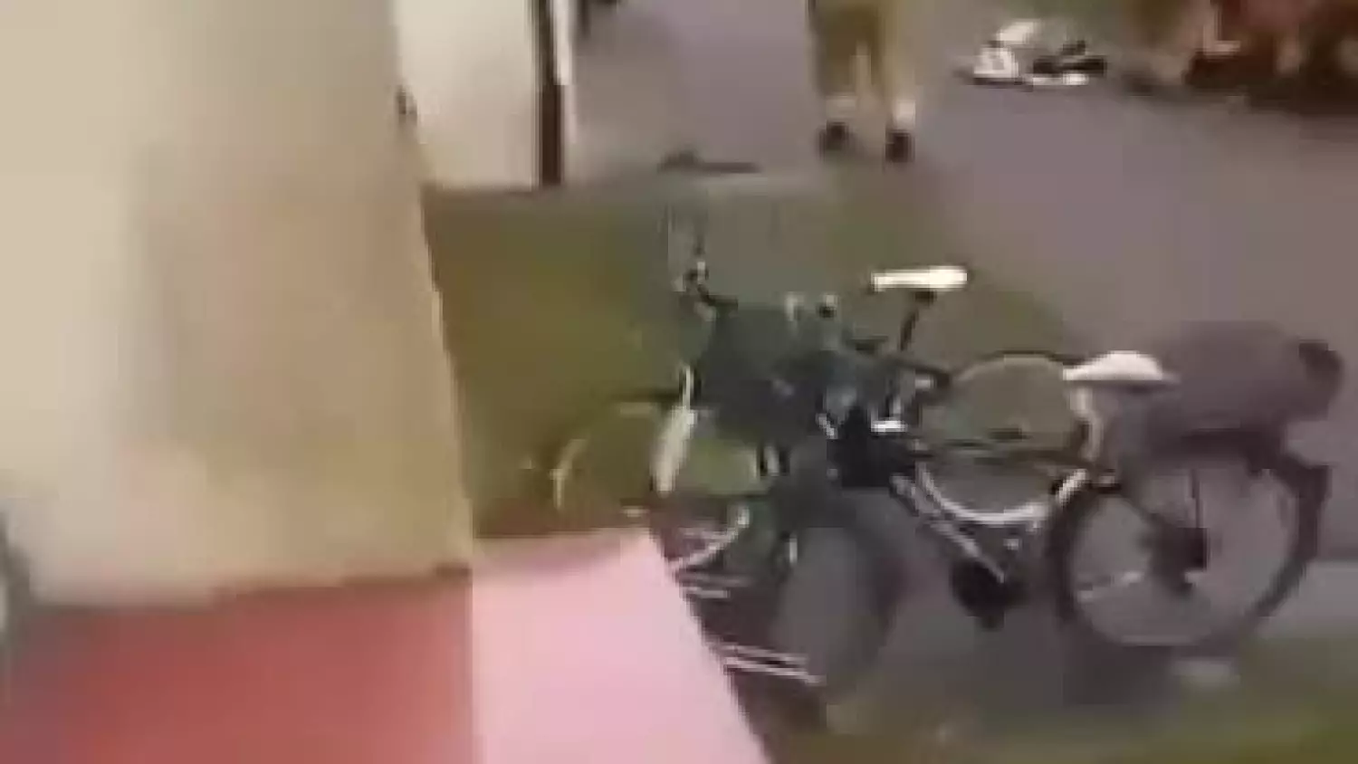 Atak na policjantów i strażaków w Sanoku [WIDEO]